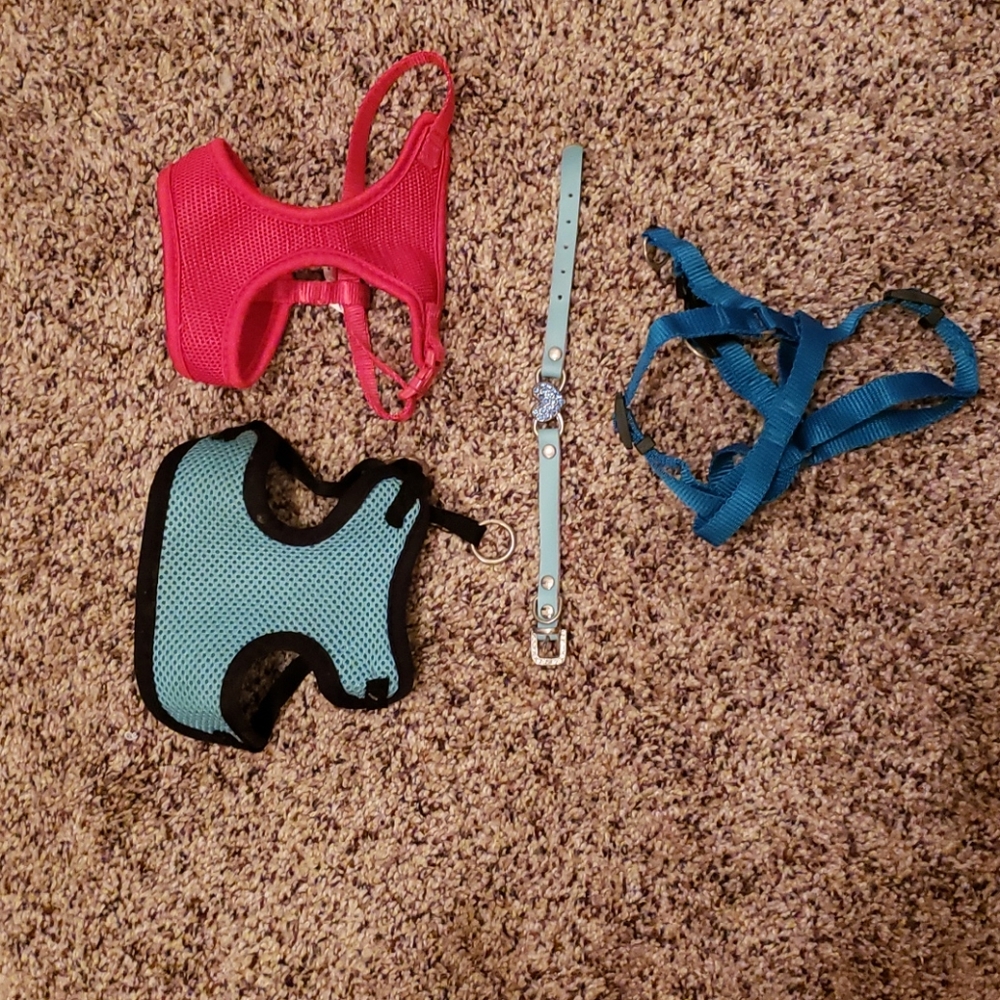 Pet harnesses & collar